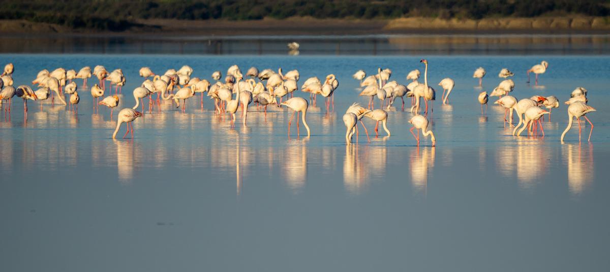 Parque Natural de la Bahía de Cádiz