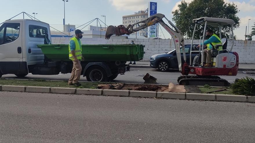 En las últimas semanas se ha procedido a la renovación de diferentes árboles en calles y avenidas de la ciudad.