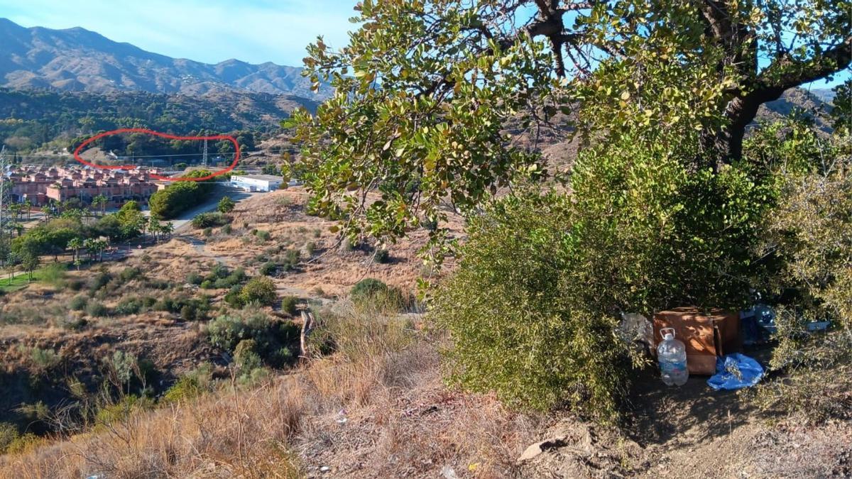 Árbol en el que fue encontrado José Antonio. Rodeado en rojo, el hospital de donde escapó, a 1,5 km de distancia.