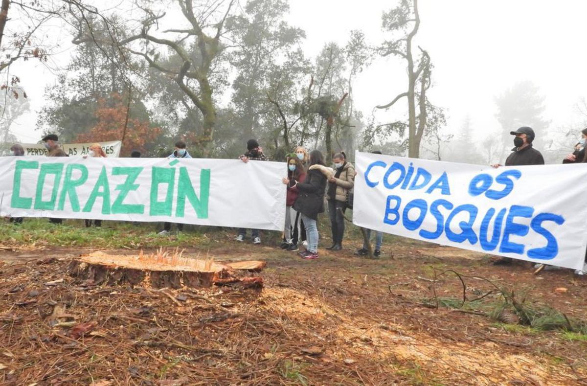 Protesta, el pasado año, por las talas en Universidad Laboral. |   // F.C