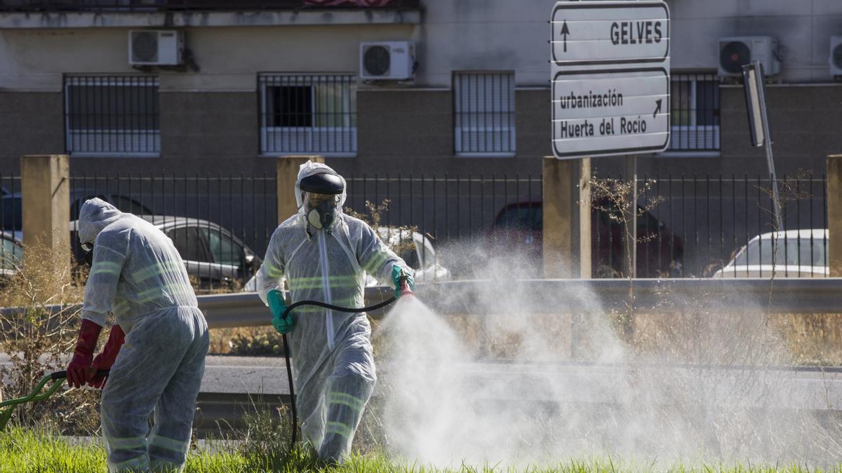 Dos trabajadores durante las labores de fumigación contra los mosquitos causantes del virus del Nilo en Coria del Río.