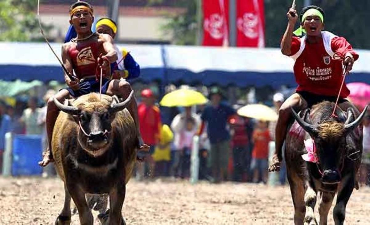 Agricultores tailandeses compiten en una carrera a lomos de dos búfalos de agua en la provincia de Chonburi (Tailandia). Este año se celebra la 139ª edición del Festival de Carreras de Búfalos de Agua en la región, que reúne a los cultivadores de arroz para celebrar la cosecha y el fin de la cuaresma budista.