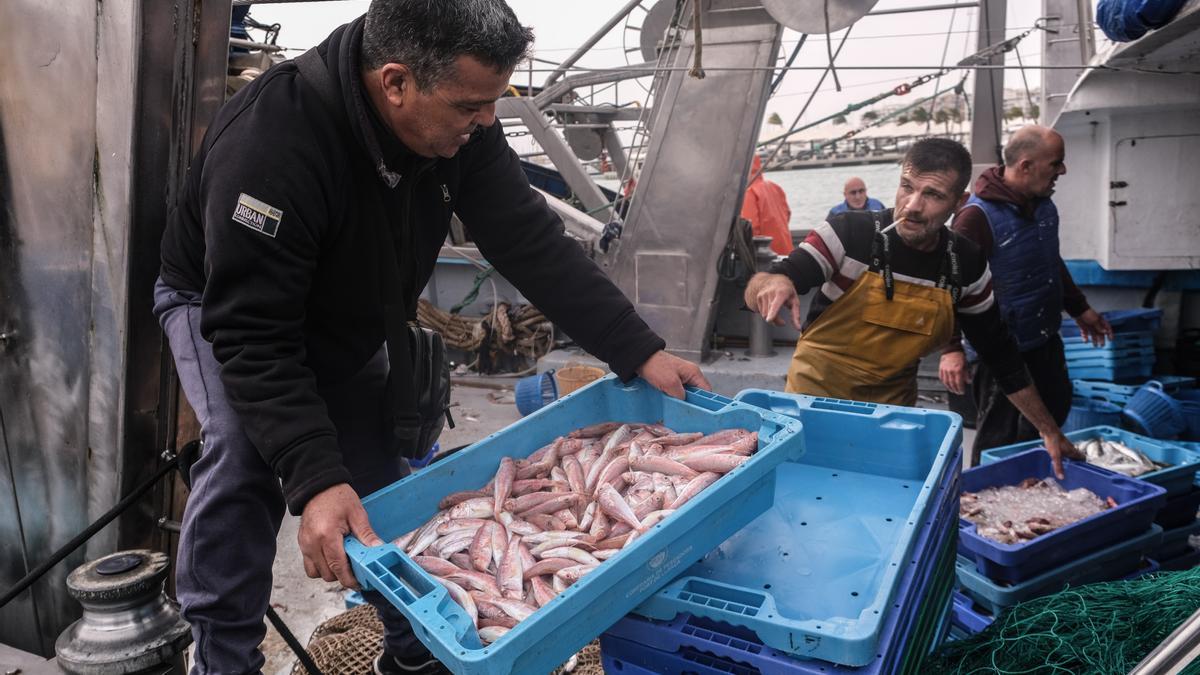 Pescadores antes de entrar a la Lonja de Santa Pola, en imagen de archivo
