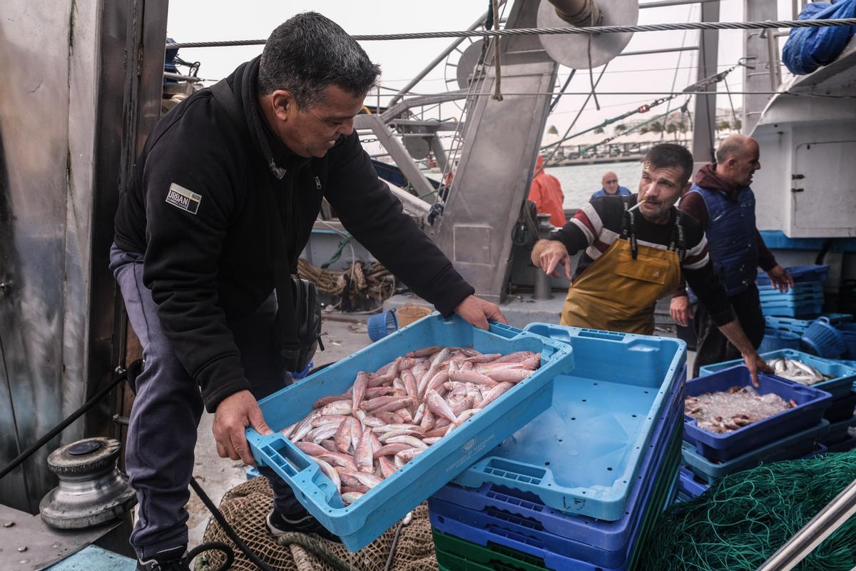 Pescadores antes de entrar a la Lonja de Santa Pola, en imagen de archivo