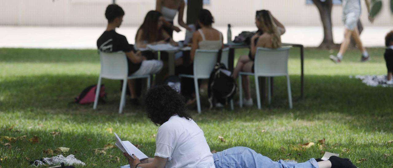 Varios alumnos pre universitarios en el campus de la Universitat Politécnica de València (UPV).