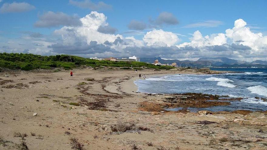 Hundestrände auf Mallorca: Hier ist Gassigehen am Meer erlaubt