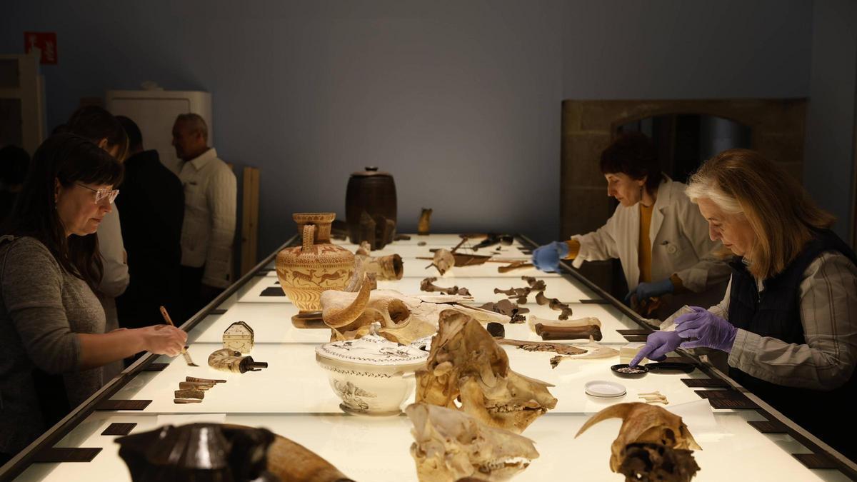 VÍDEO: Montaje de la nueva exposición "Convivium" en el Revillagigedo