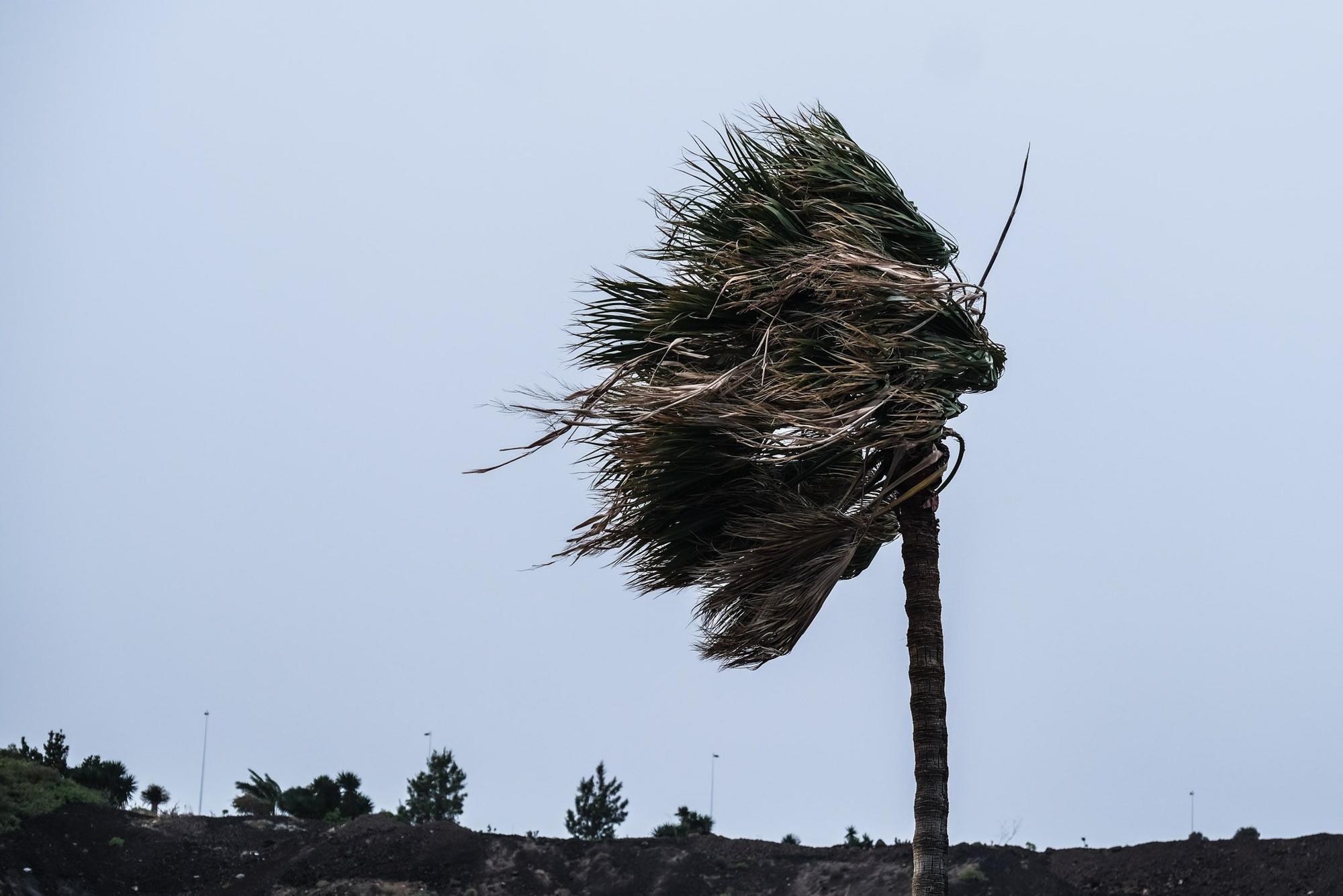 La borrasca Celia deja un temporal de viento y mar en Gran Canaria (14/02/2022)