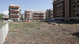 'Guerra' a los solares abandonados: Castelló insta a 11 propietarios cada mes a realizar limpiezas