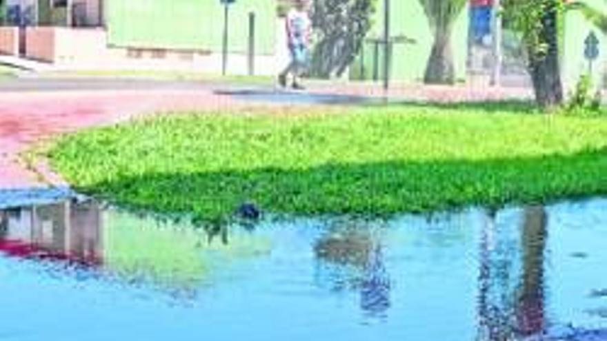 El agua de los aspersores anega una avenida del Cerro de Reyes