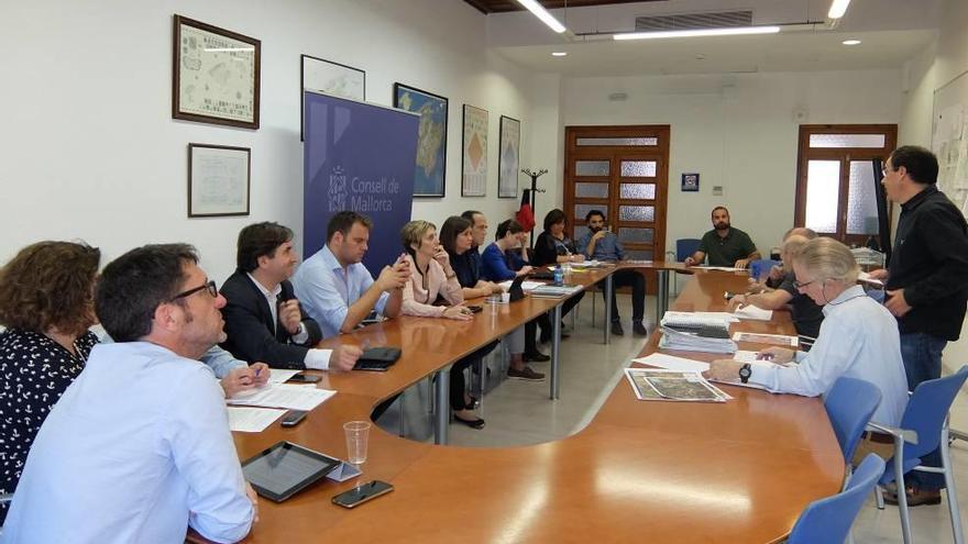 Instante de la reunión de la comisión insular, ayer.