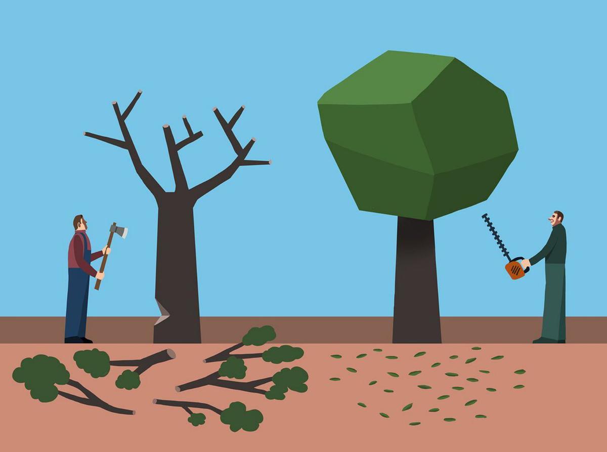 Reformar abans de retallar