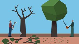 Reformar abans de retallar