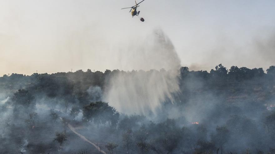 El Infoex no prevé elevar aún el riesgo de incendios en Extremadura