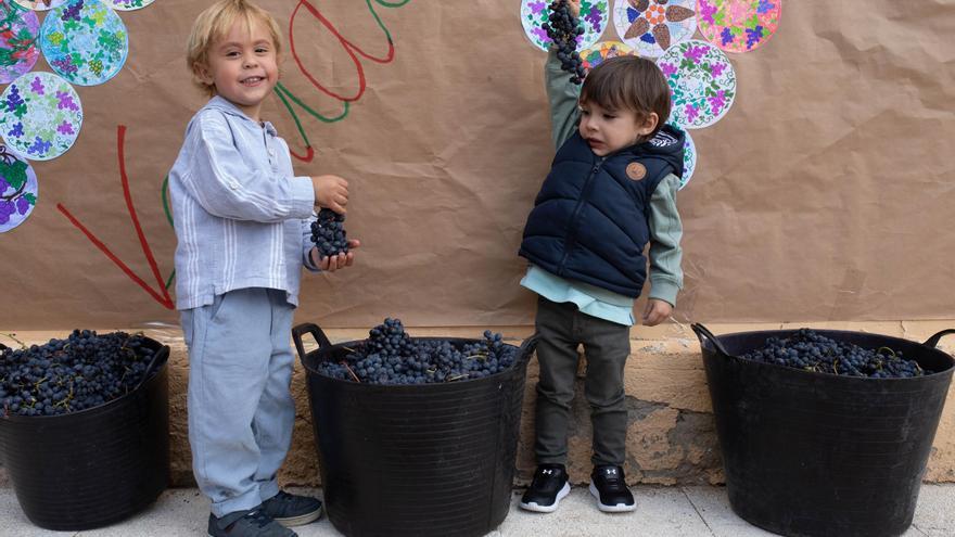 Los niños de Venialbo disfrutan de la vendimia