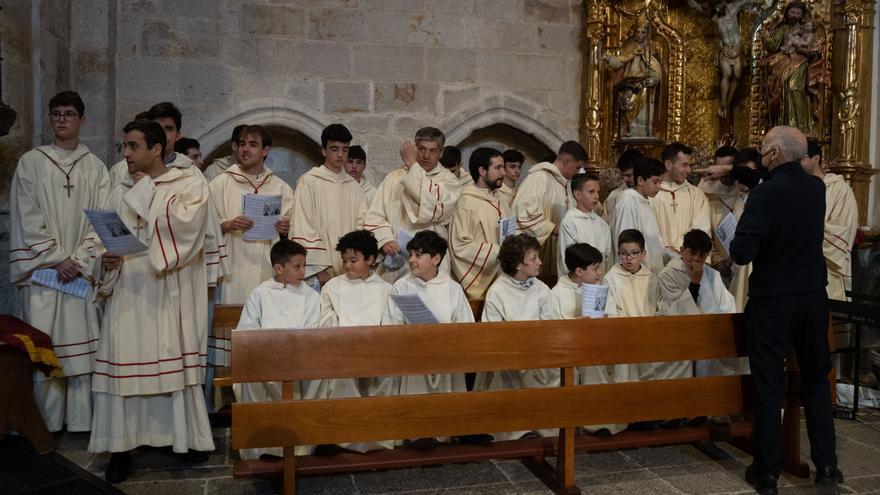 GALERÍA | Bendición de palmas y ramos en Zamora