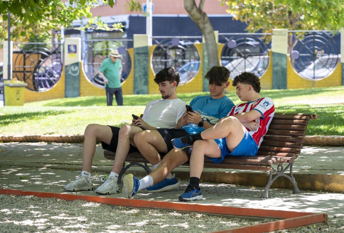 Imagen de archivo (29/05/2025) Varios jóvenes miran sus móviles sentados en un banco en un parque en Jaén. EFE/José Manuel Pedrosa