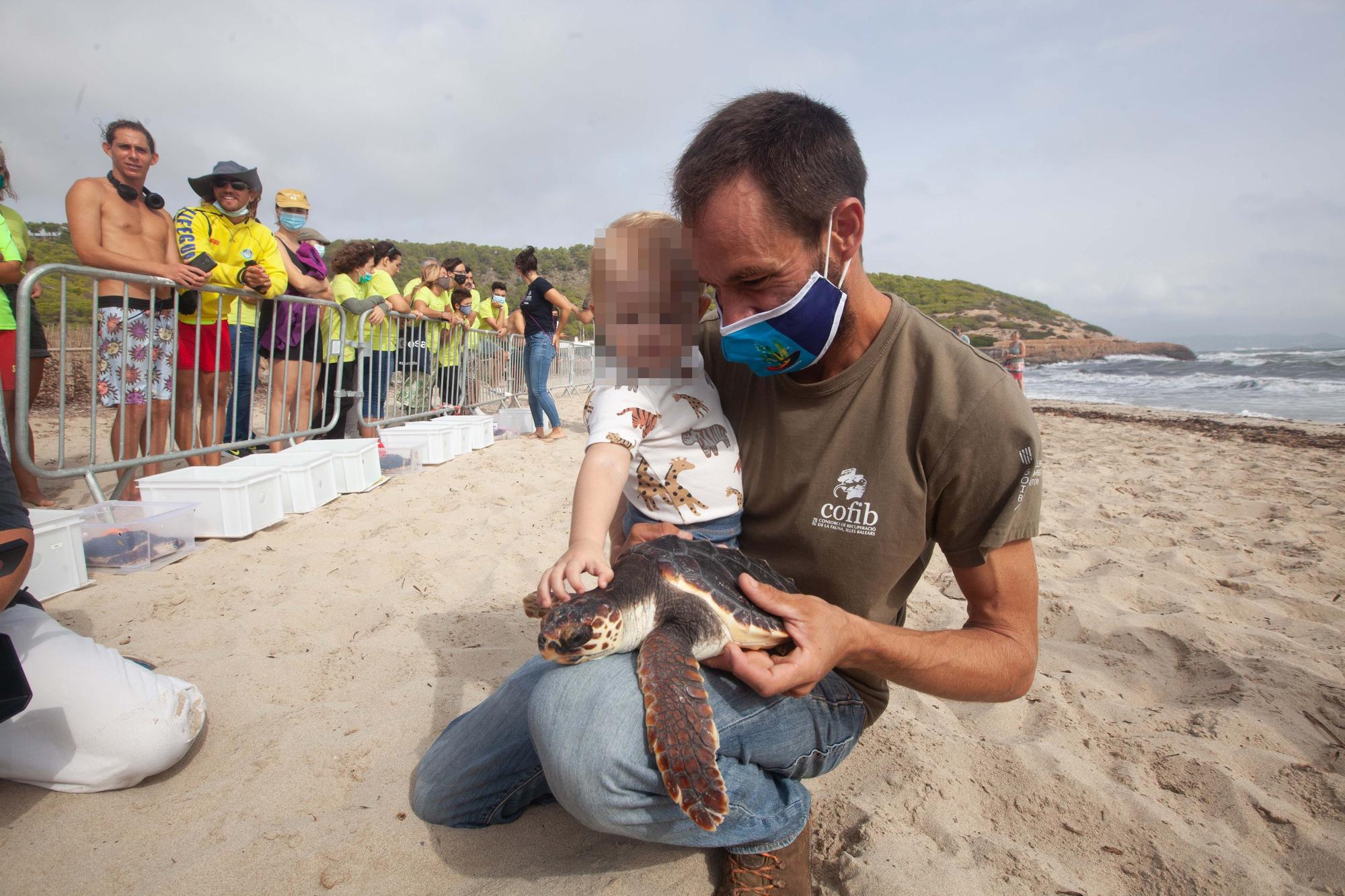 Ponen en libertad a las primeras tortugas nacidas en una playa de Ibiza