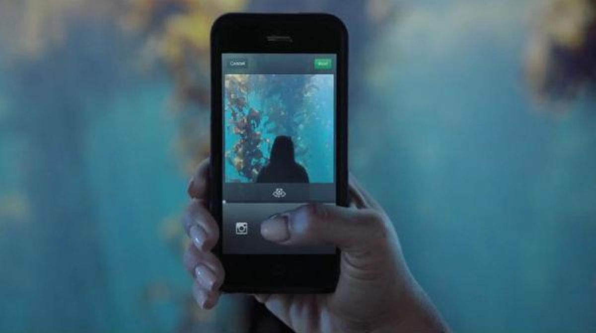 Els usuaris també poden compartir les seves vivències penjant un vídeo a Instagram.