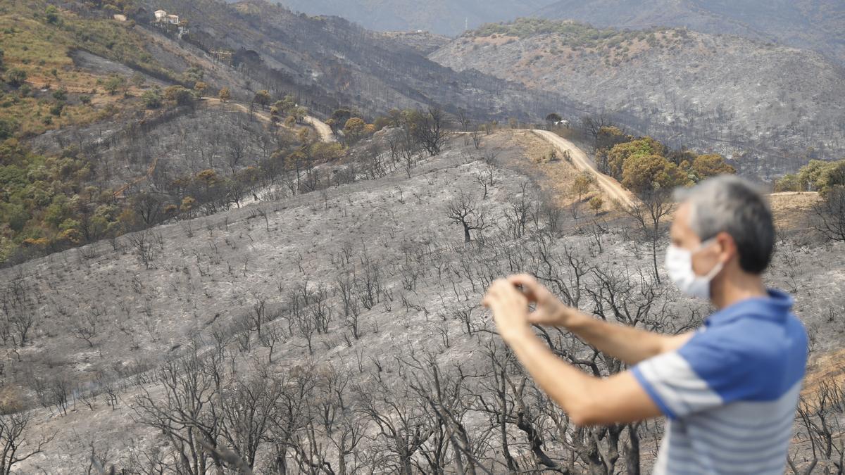 Un incendio en Sierra Bermeja provoca el desalojo de un millar personas en Estepona, Jubrique y Genalguacil