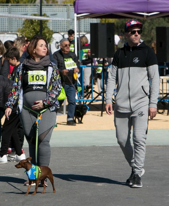 Can We Run: Gran carrera de perros para la concienciación animal