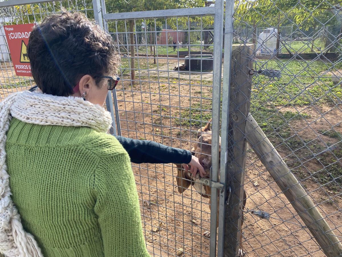 Una voluntaria frente a uno de los perros acogidos en el centro.