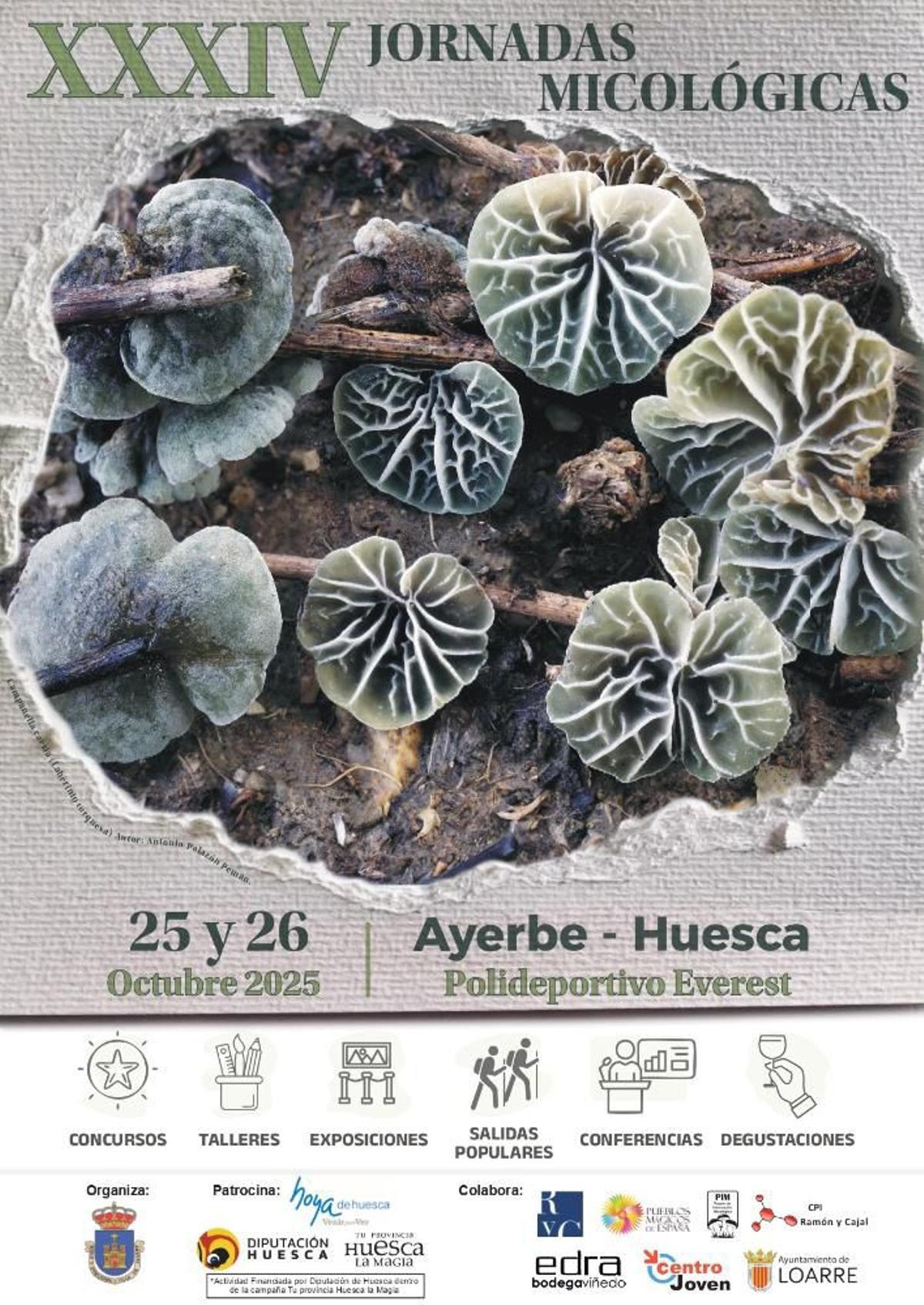 XXXIV Jornadas micológicas