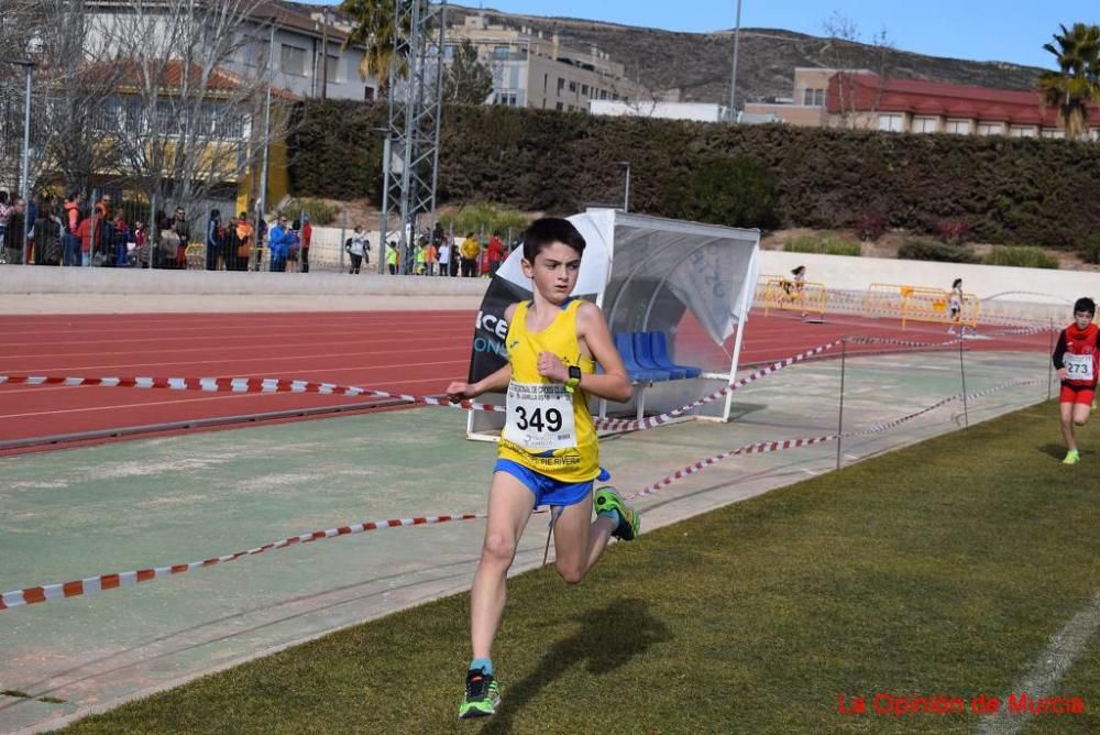 Cross de Jumilla 2