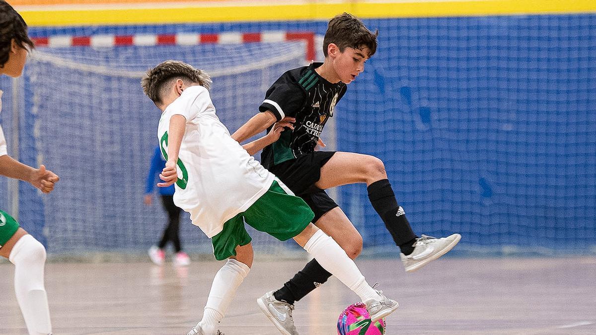 Fútbol sala benjamín. Imágenes del partido entre Andalucía y Extremadura