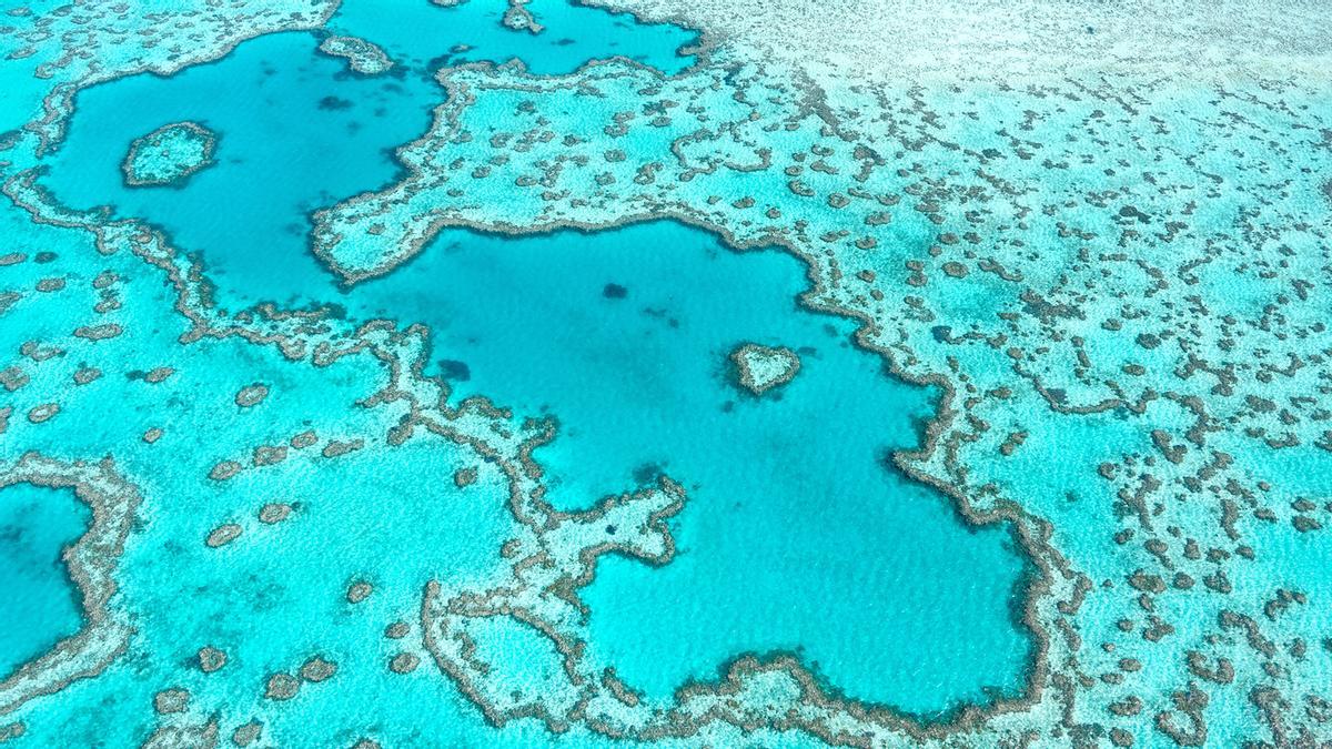 La Gran Barrera de Coral es otra de la amenazadas de Australia.