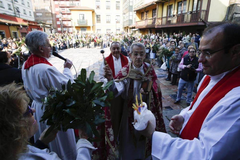 Domingo de Ramos en Avilés