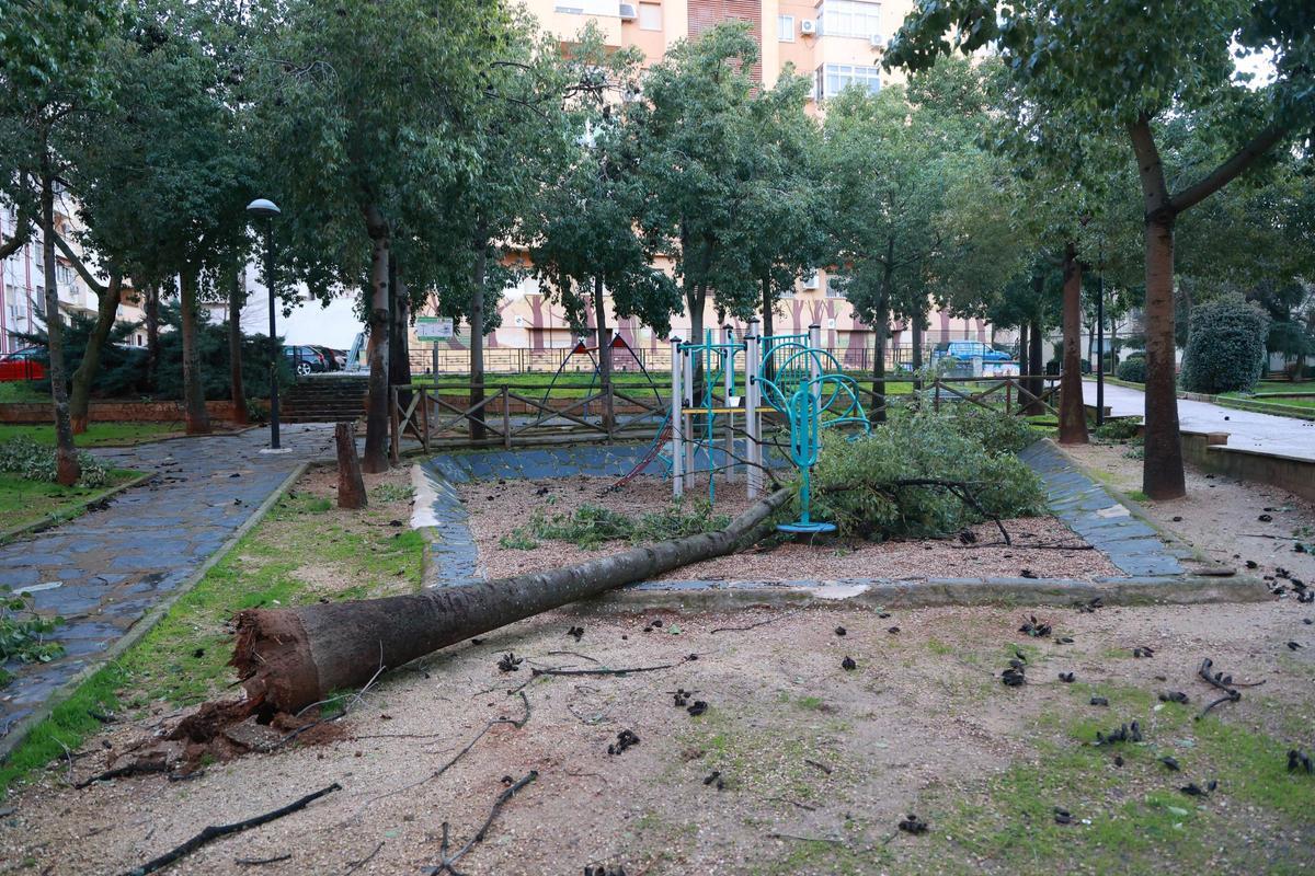 El drama de Médco Sorapán: la borrasca en Cáceres El drama de Médco Sorapán: la borrasca en Cáceres