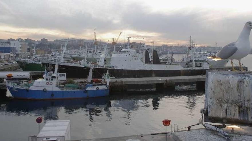 Buques pesqueros amarrados en el puerto de Beiramar en una fotografía de archivo. // José Lores