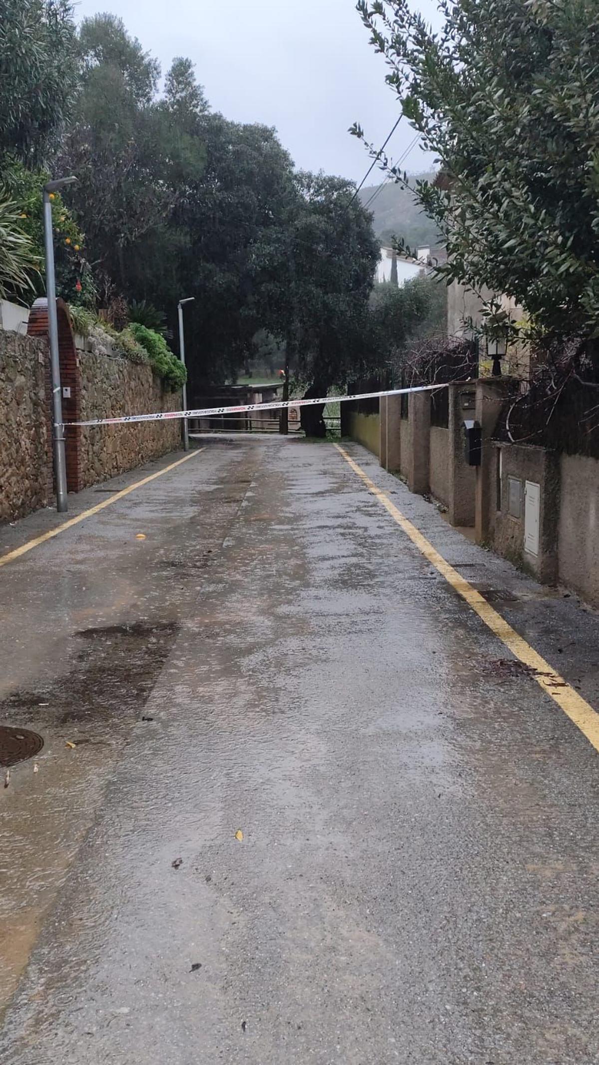 Les fotos dels efectes de la llevantada a les comarques gironines