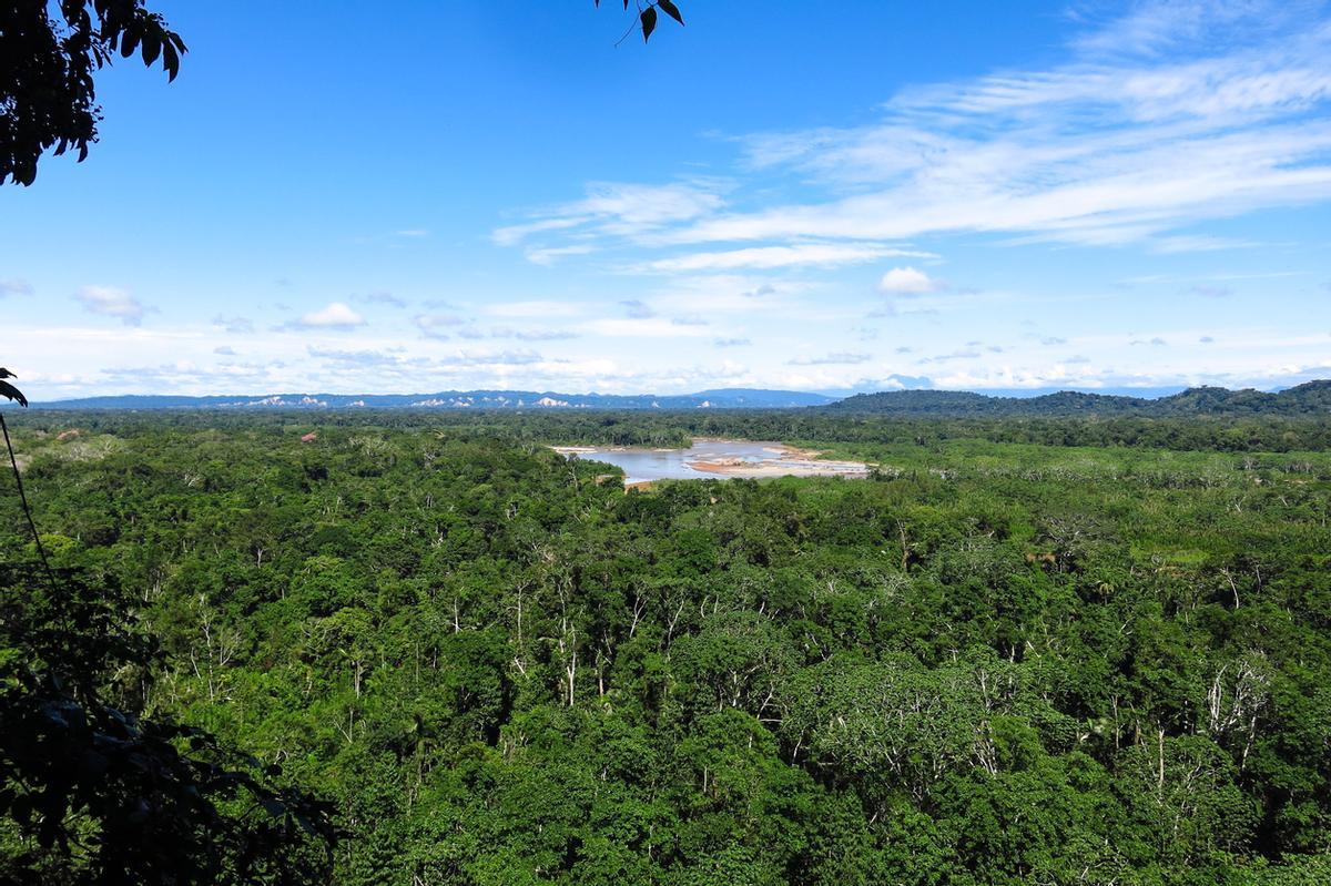 Parque Nacional Madidi