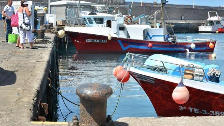 Vía libre a la pesca de atún blanco en Canarias