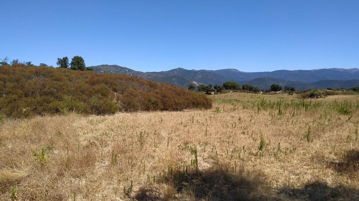 Part de la zona dels Estanys de l&#039;Albera.