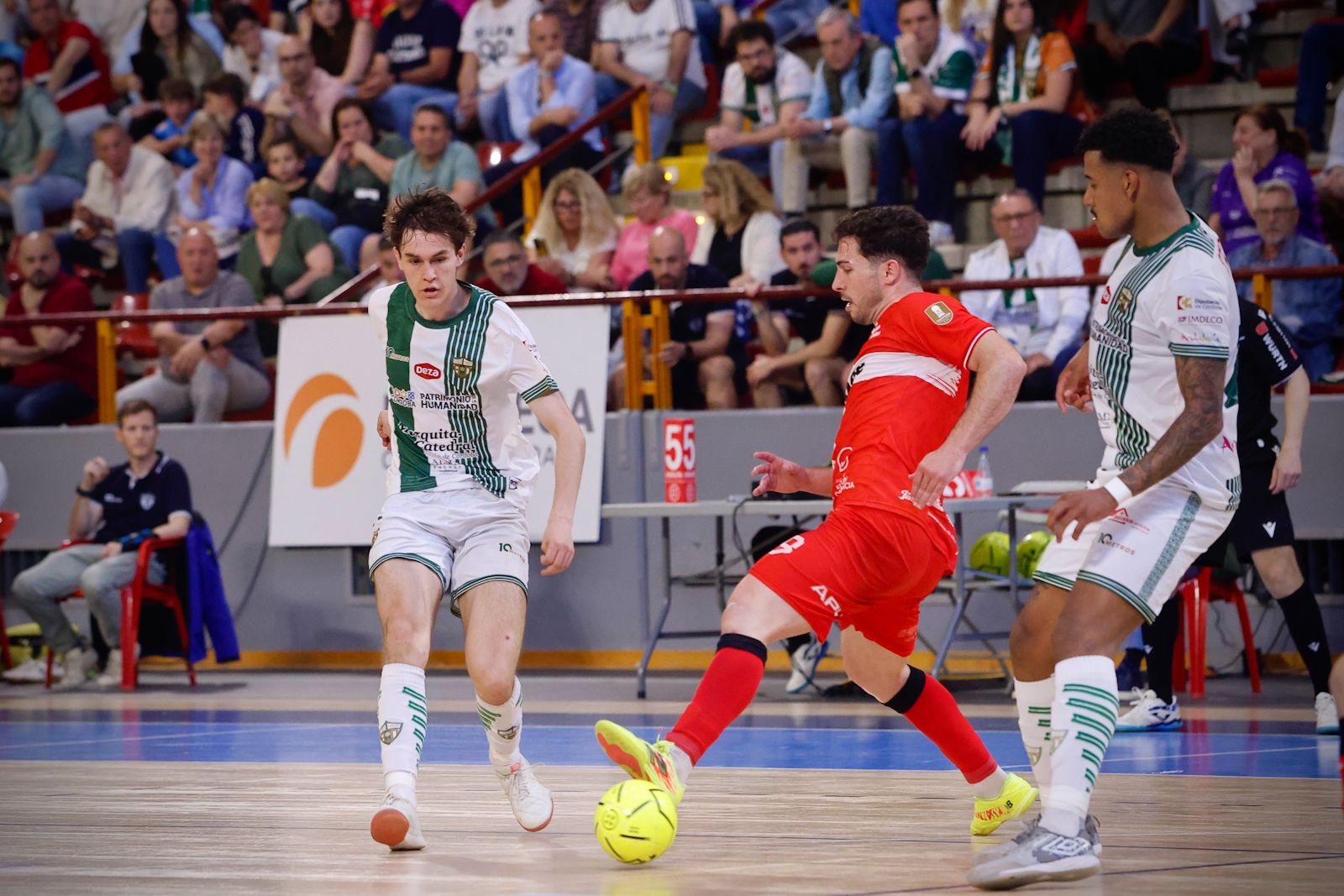 El Córdoba Futsal - Jimbee Cartagena, en imágenes