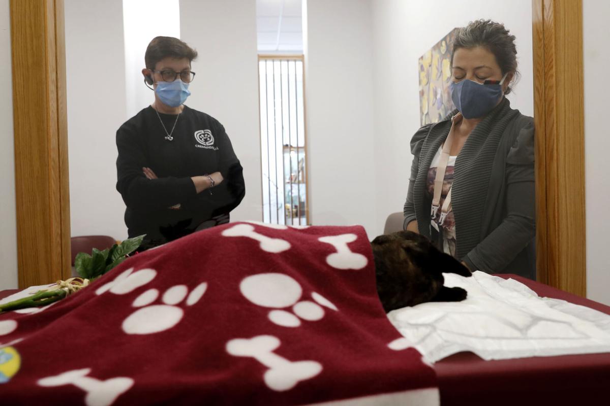 Cremandogal es el único tanatorio y crematorio para animales en Vigo
