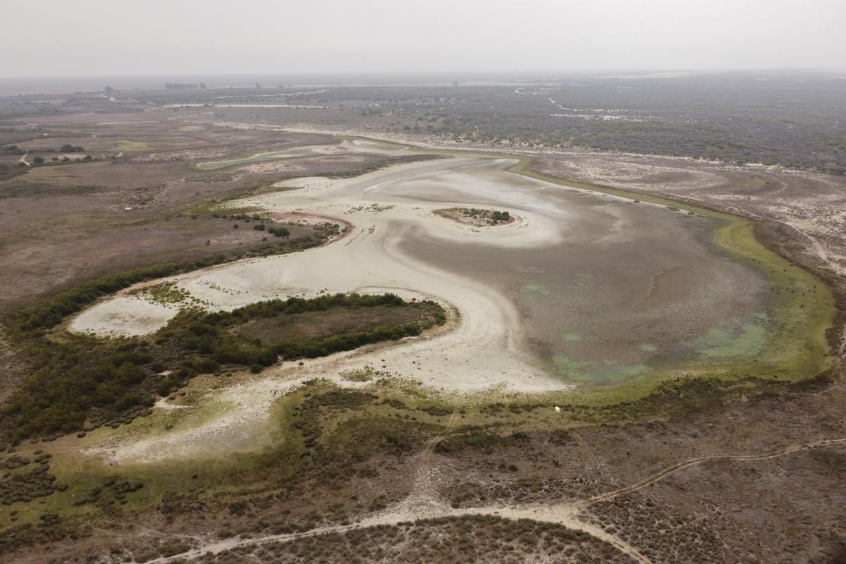 Vista aérea de la laguna de Santa Olalla, en el parque nacional de Doñana.