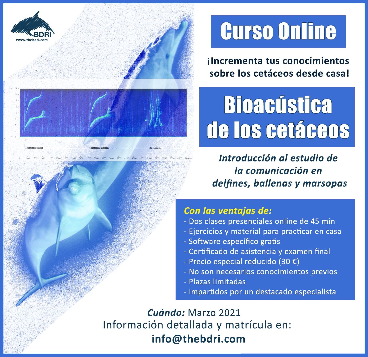 El cartel del curso.