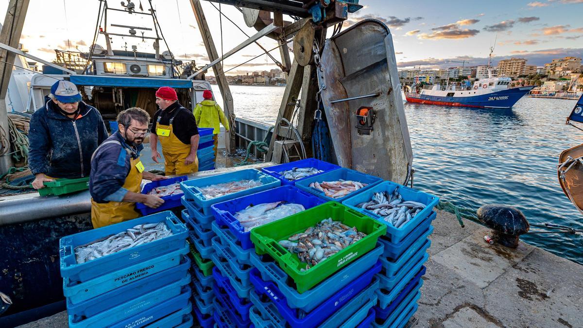 Pescadores en el puerto de La Vila descargando las capturas.