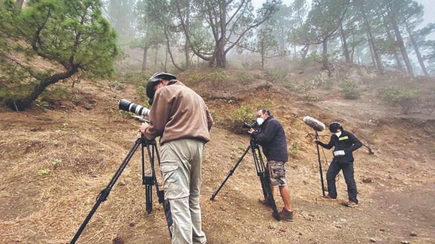 La Palma recupera los rodajes con un documental y dos campañas publicitarias