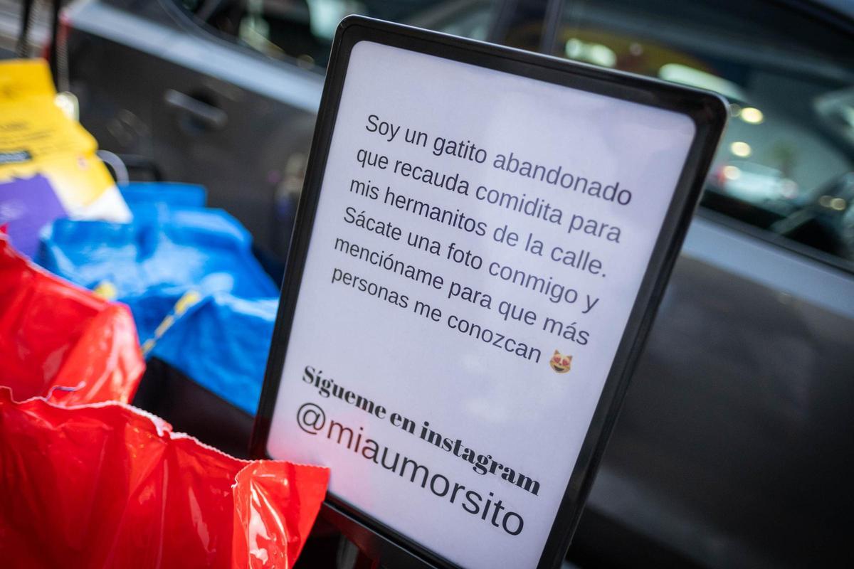 Mensaje con el que se presenta Miaumorcito y con el que pide que le sigan en Instagram.