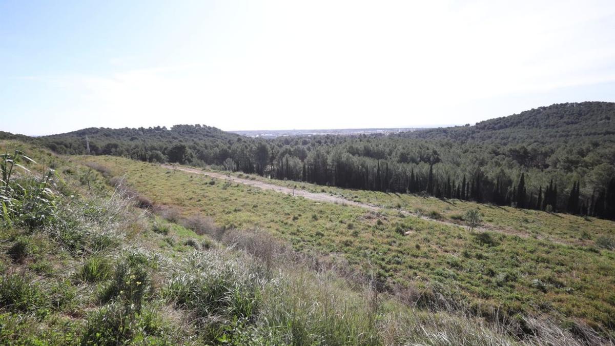 La antigua cantera de la Sentiu de Gavà.