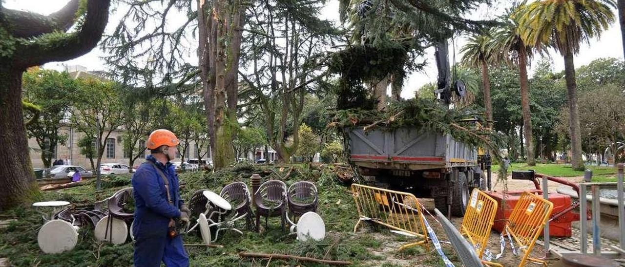 Trabajos de retirada de las ramas arrancadas por el viento en los cedros de Las Palmeras, en la mañana de ayer. // G. Santos