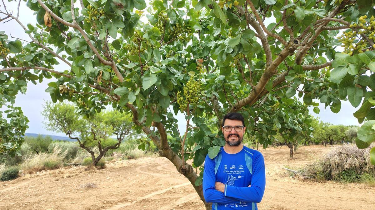 Blas Agut en su finca de pistachos situada en Vall d’Alba.