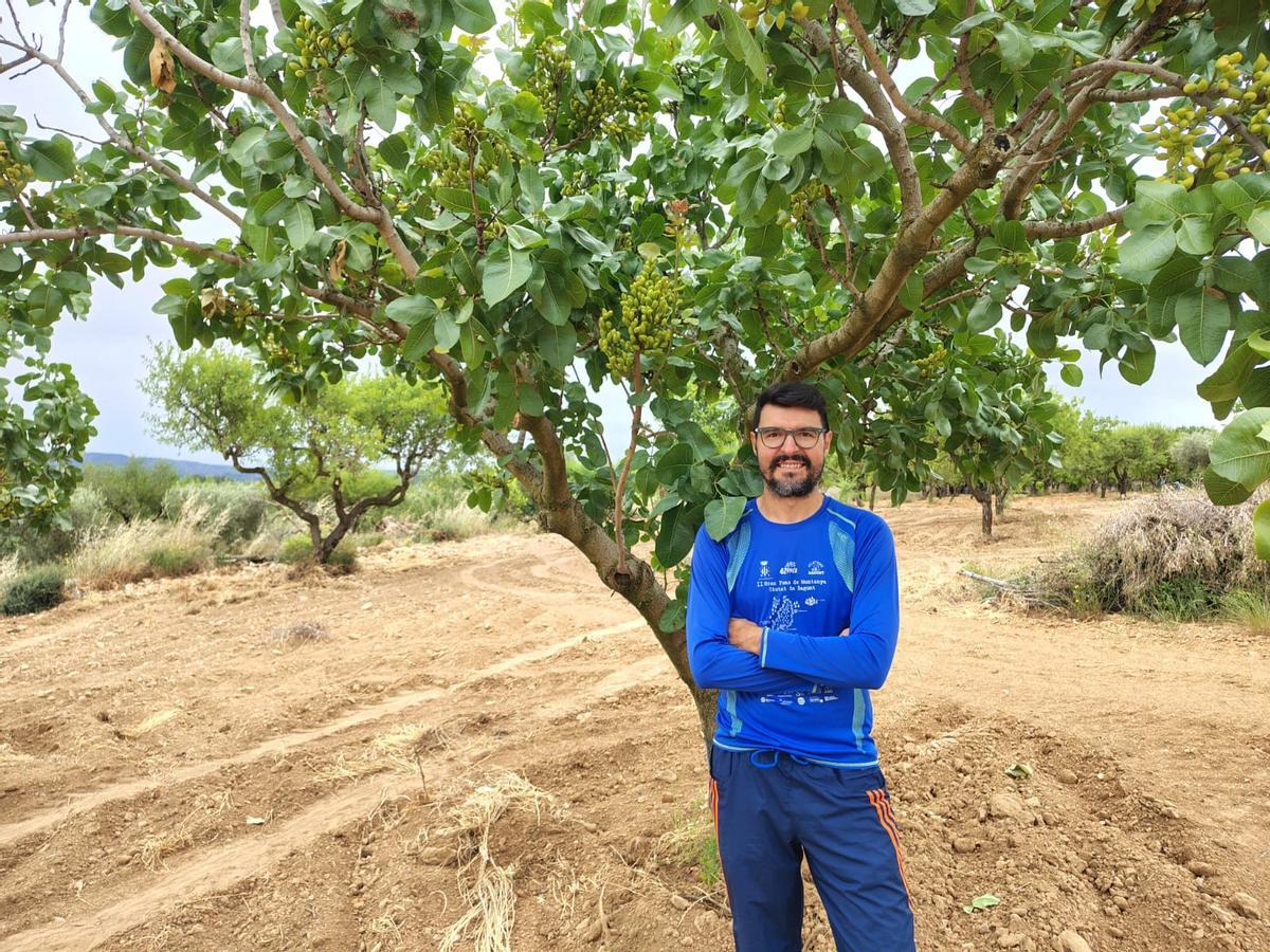 Blas Agut en su finca de pistachos situada en Vall d’Alba.