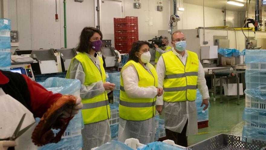 Visita de Miguel Tellado a la empresa marinense.   | // FDV