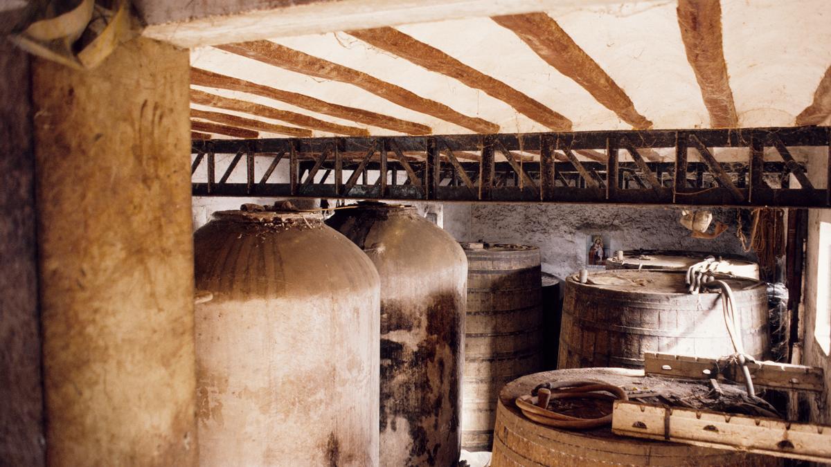 Los vinos de vinya Alforí están avalados por una trayectoria vinícola de más de 200 años.